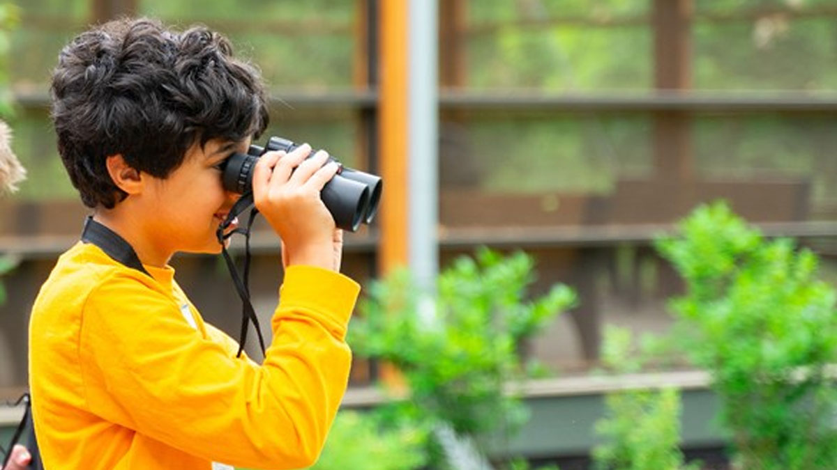 Family Drop-In: World Migratory Bird Day Celebration at Edward L. Ryerson Welcome Center